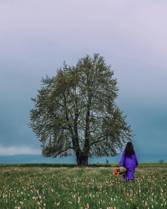 woman sitting in the middle of field with tree nearby