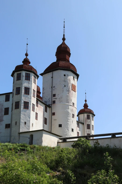 the large building has two domes on the top