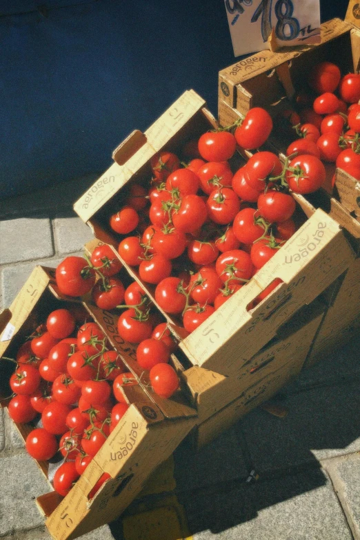 tomatoes stacked up in boxes on a table