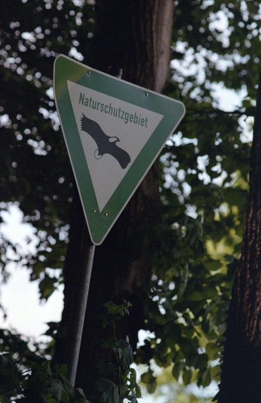 a street sign on a pole that reads'the german language for dogs is posted in front of some trees