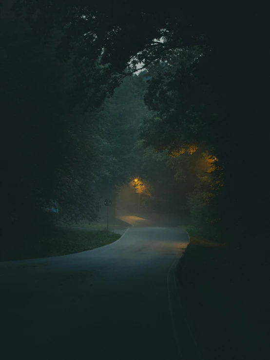 street light shining through a dark night in the park