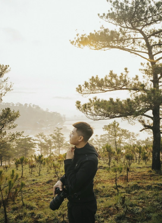 a person in the foreground looks into the distance while standing on a hill with pine trees and a hazy sky