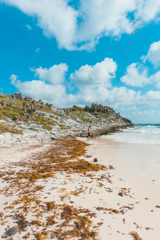 a person flies a kite at the edge of an ocean with rocks and grass on the beach