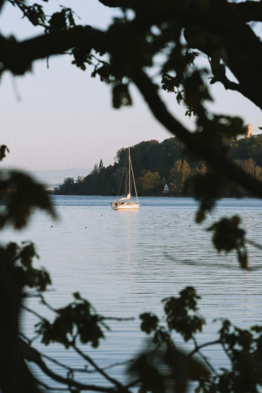 a sailboat sitting on the water, in the distance are small trees