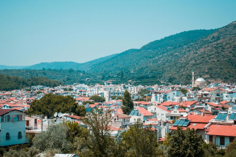 small houses in the background in a forested area