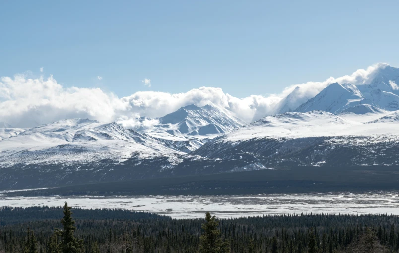 the snow - capped mountains rise behind evergreens near a forest