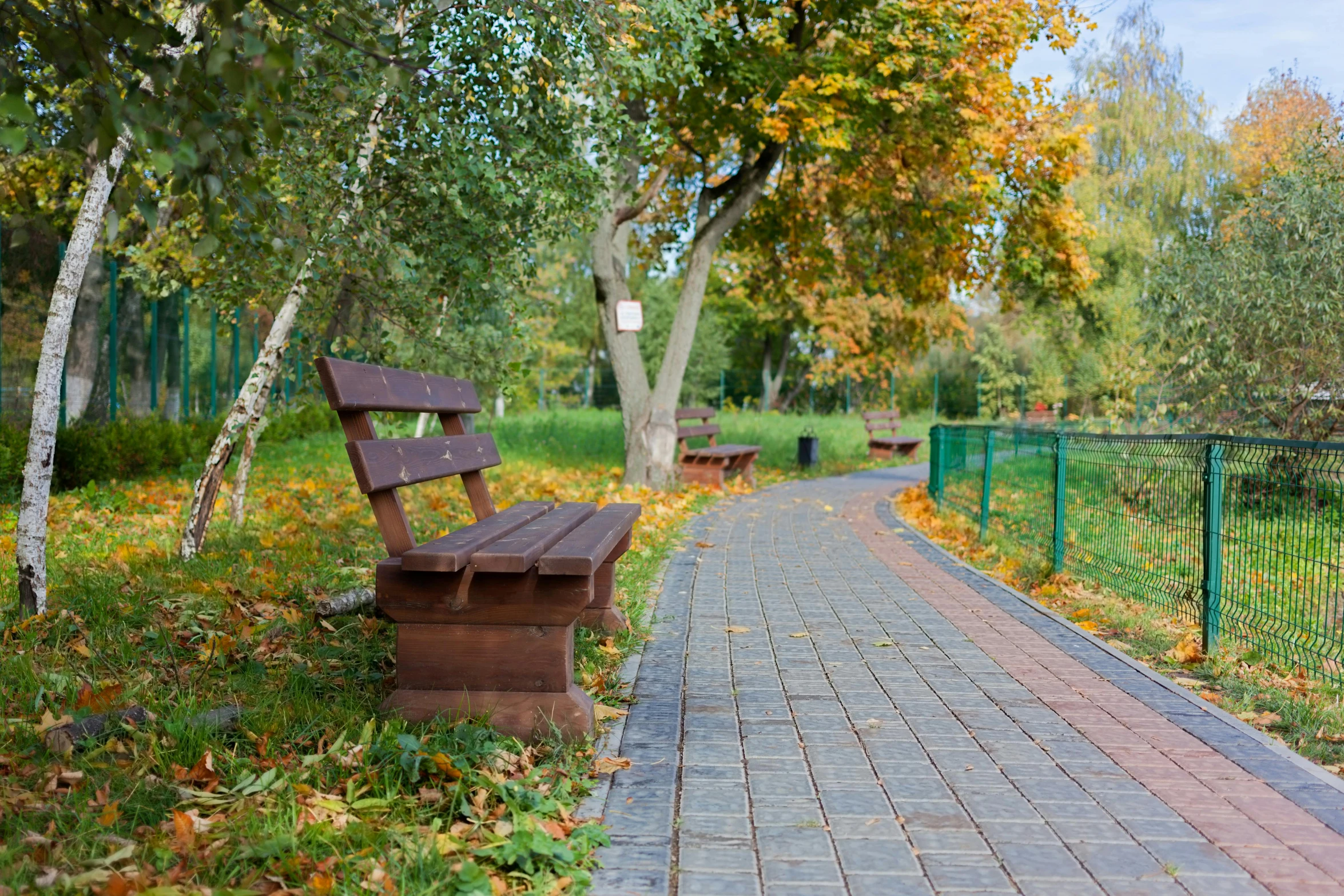 a paved path leading to benches in the park