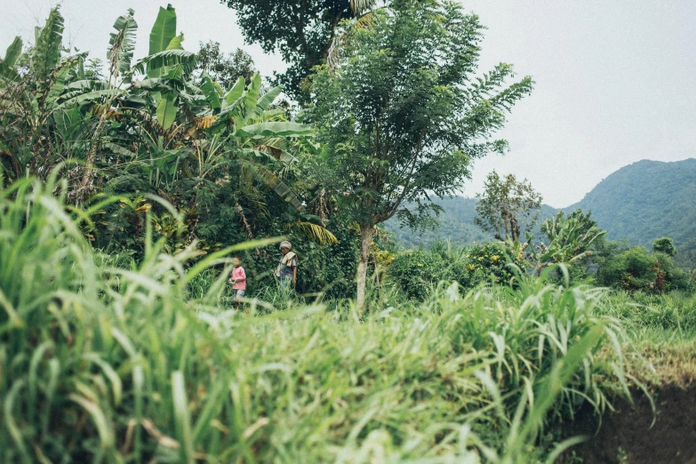 a man standing by a small body of water in the forest