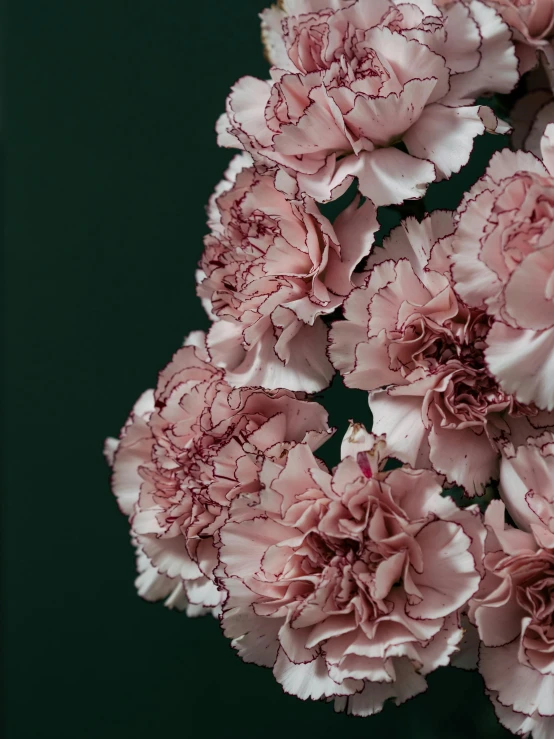 pink flowers sitting on top of a table