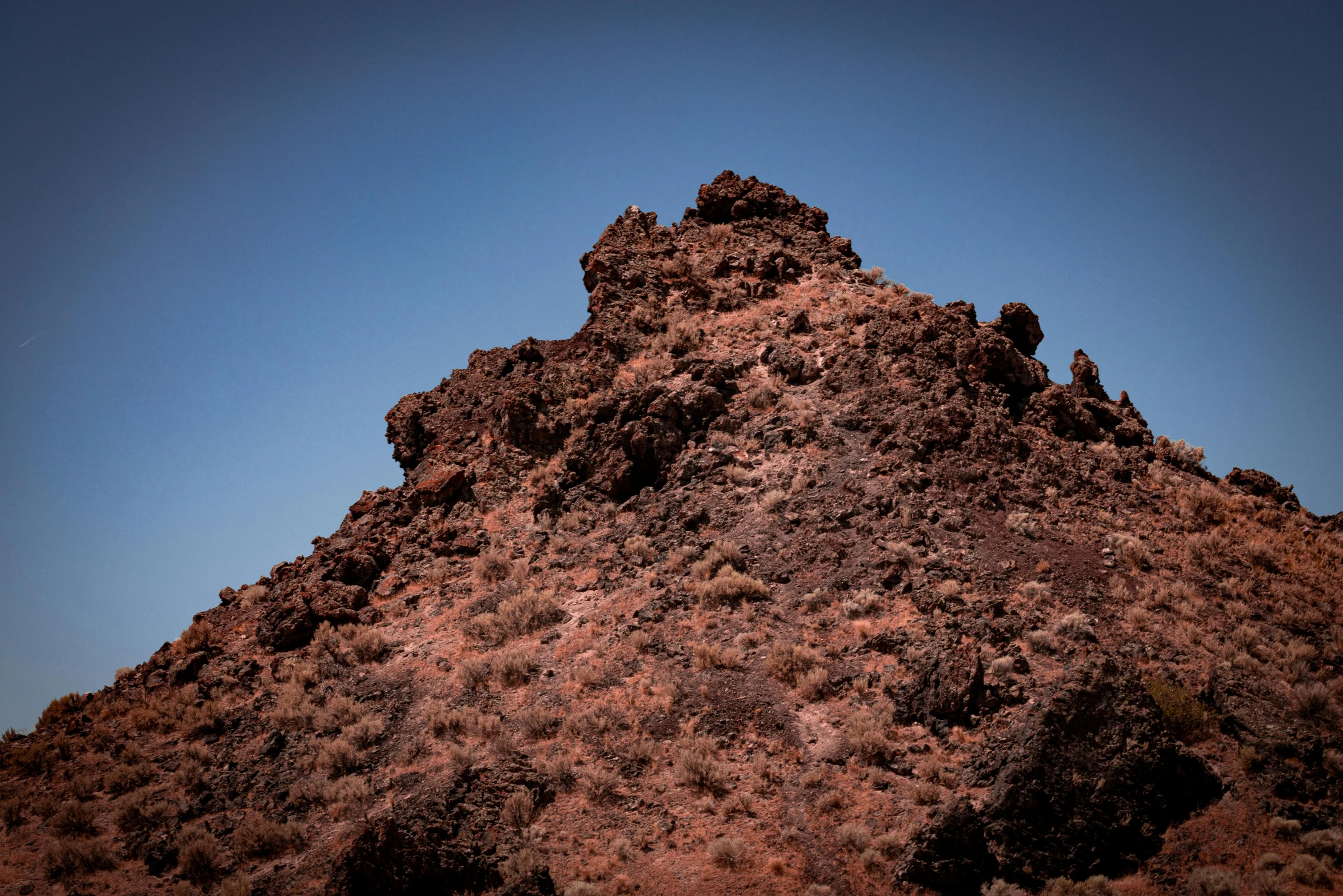 very large brown mountain with lots of plants growing on top