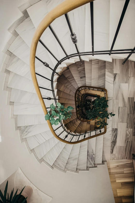 a spiral stair case holding plant and flowers