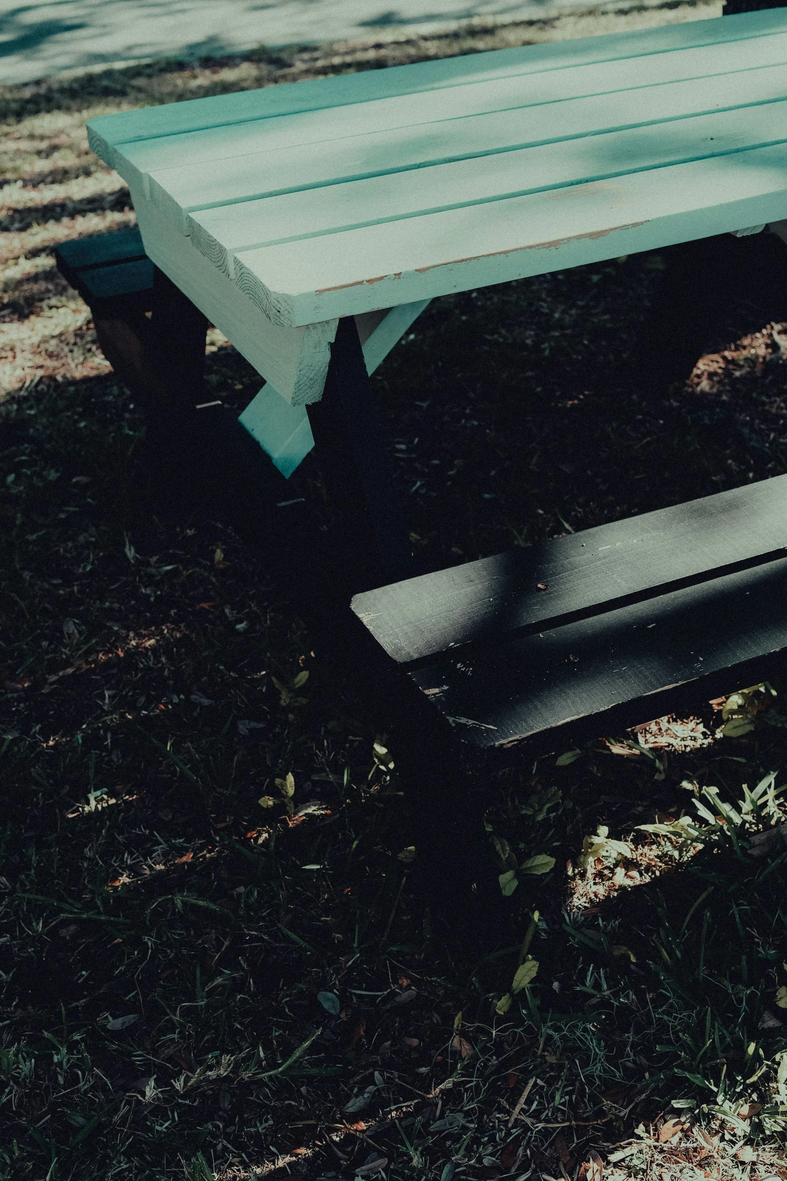 a bench sitting next to a tree in the woods