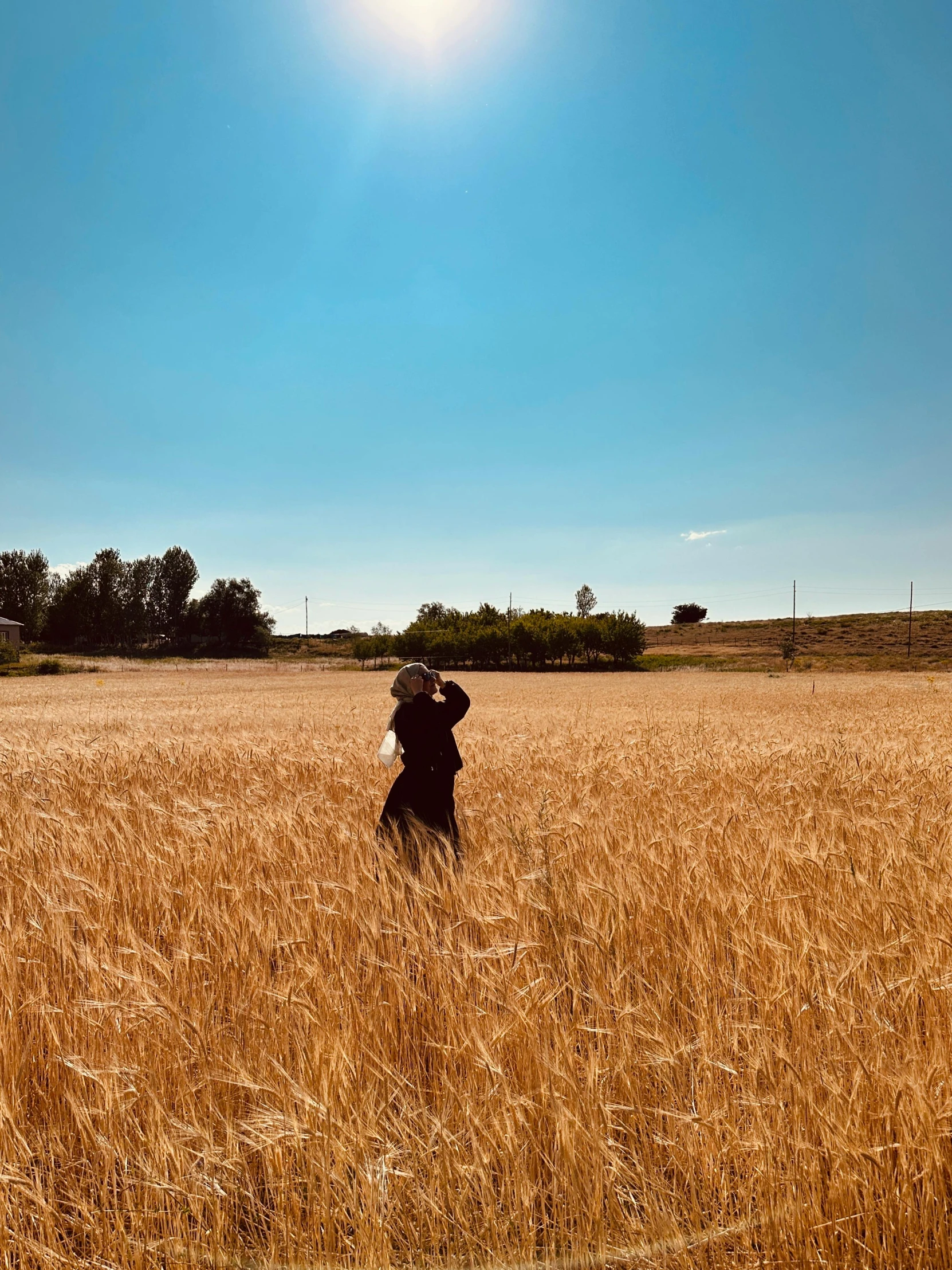 a person standing in a wheat field in the middle of the day