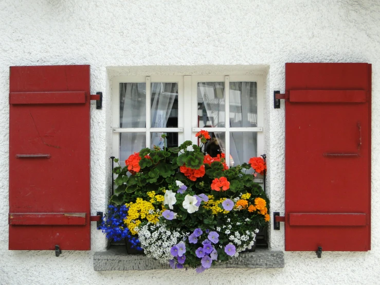 a window sill with flowers in the outside