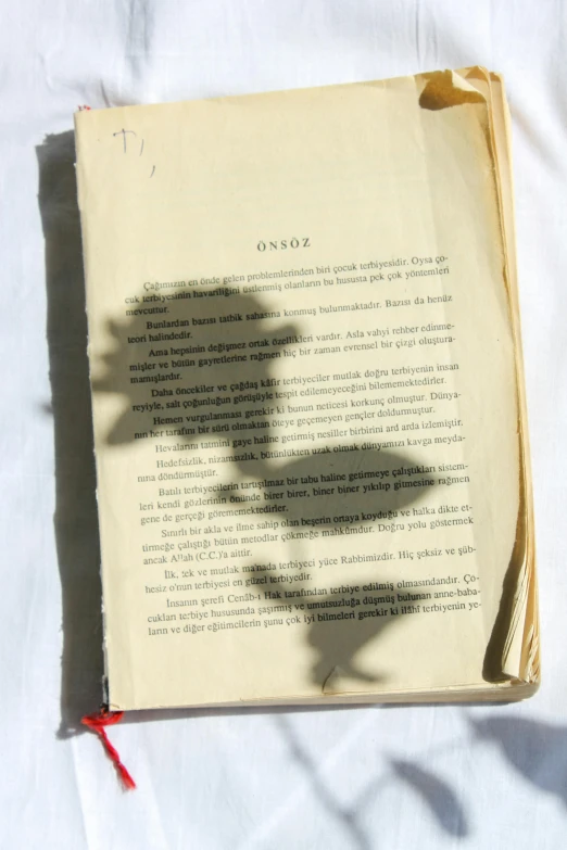 an open book with the shadow of a flower on it