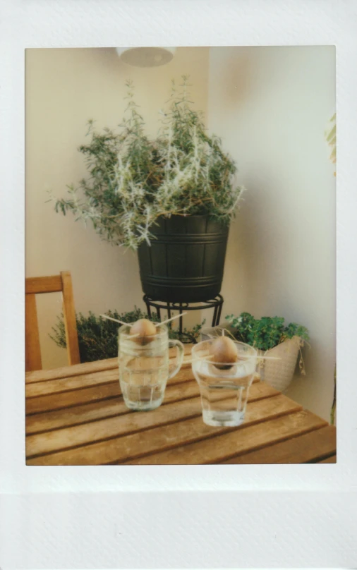 some cups are on a table with a plant in the middle