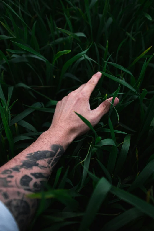 a hand on grass with tattoos reaching out