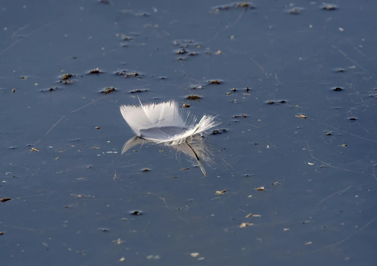 a paper origami floating on a body of water