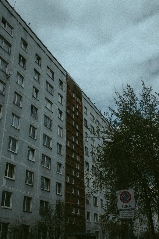 the trees are near tall buildings with many windows