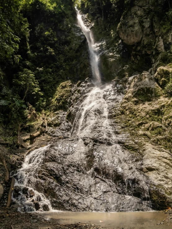 a waterfall near a beach with green plants