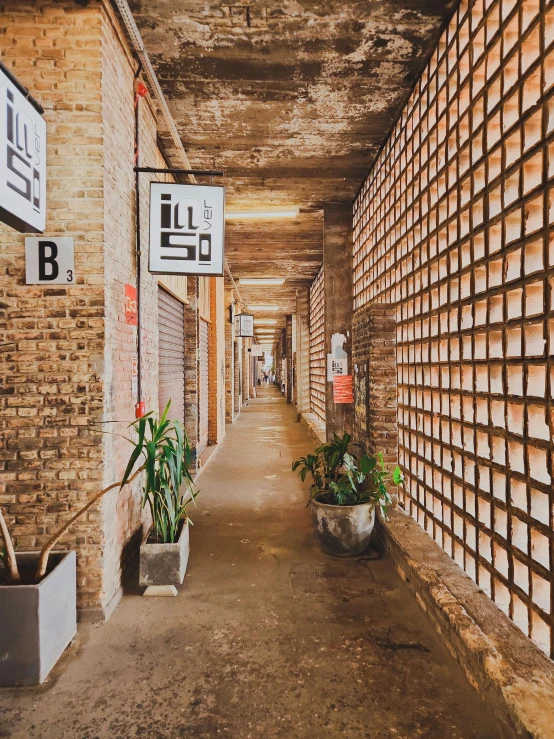 the hallway of an office building with various potted plants and signs