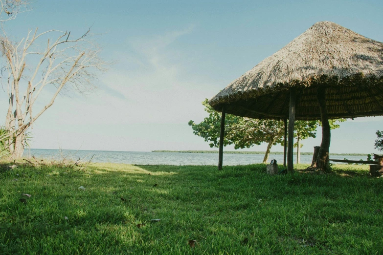 a large grass hut with grass roof in the middle of a lush green field