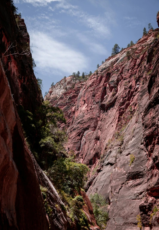 some rocks and plants are by the edge of the cliff