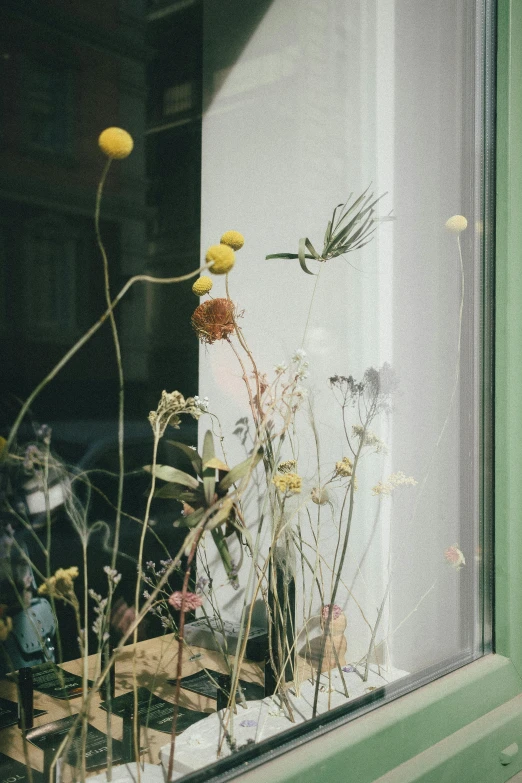 a window with some flowers sitting inside it