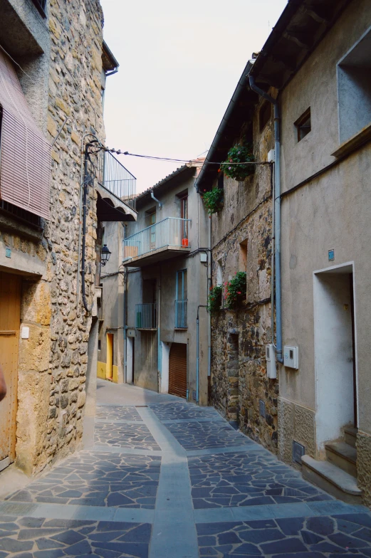 some buildings and a cobble stone walkway with flowers