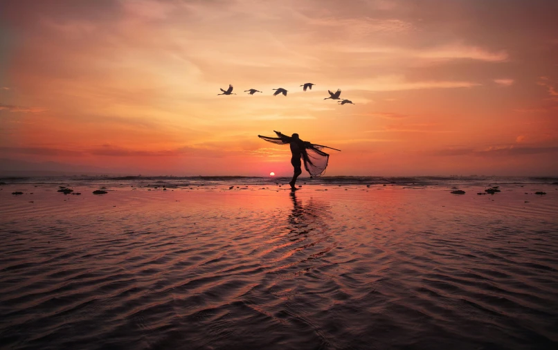 a person stands on the beach as birds fly in the air