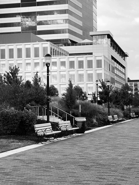 benches near to a pathway with buildings behind it