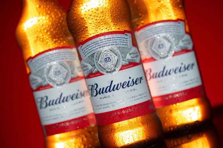 two empty budweiser bottles are pictured against a red background