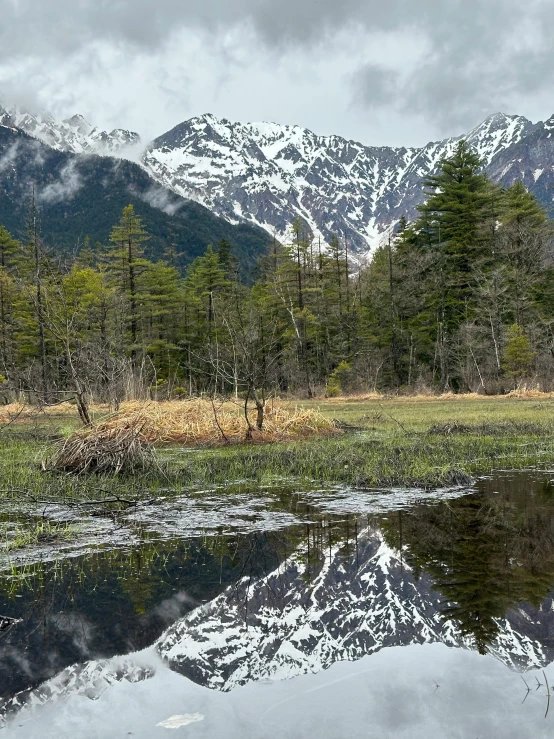 mountain peaks reflect in the still water of a pond