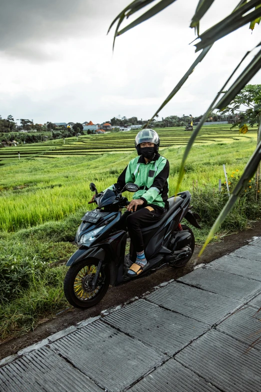 a person on a motorcycle near a lush green field