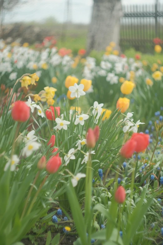 a colorful field filled with lots of flowers