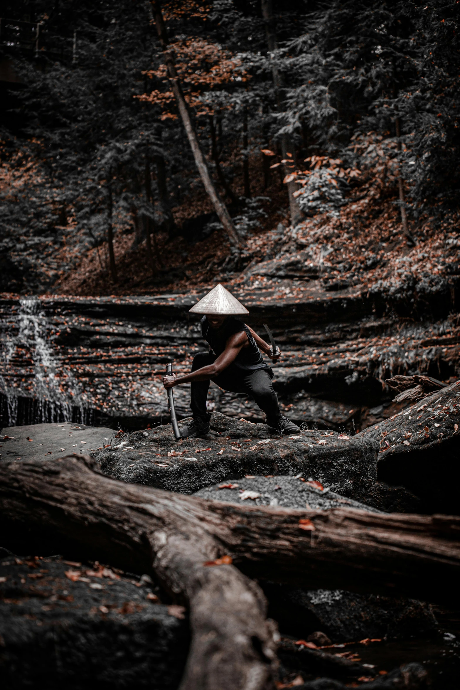 person with umbrella in woods on fallen tree