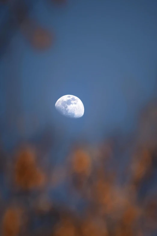 a white moon shining in a blue sky through some trees