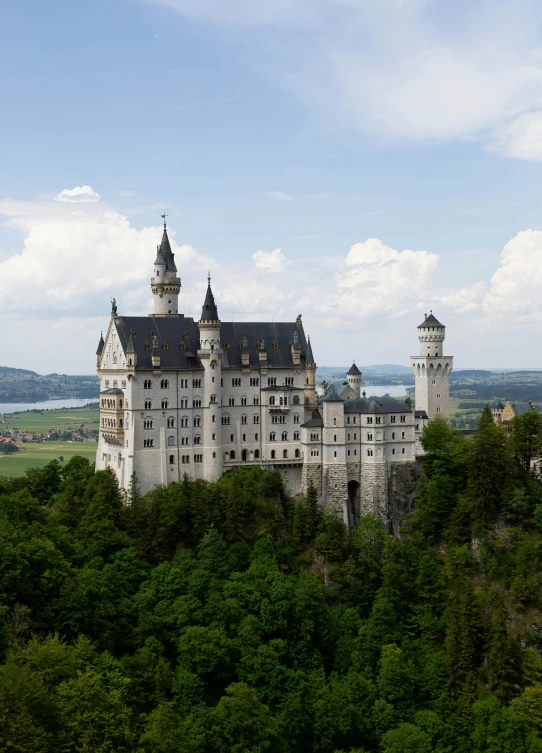 the castle is perched high in the trees