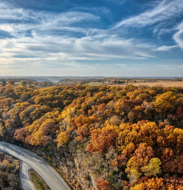 the road is lined with lots of different types of trees