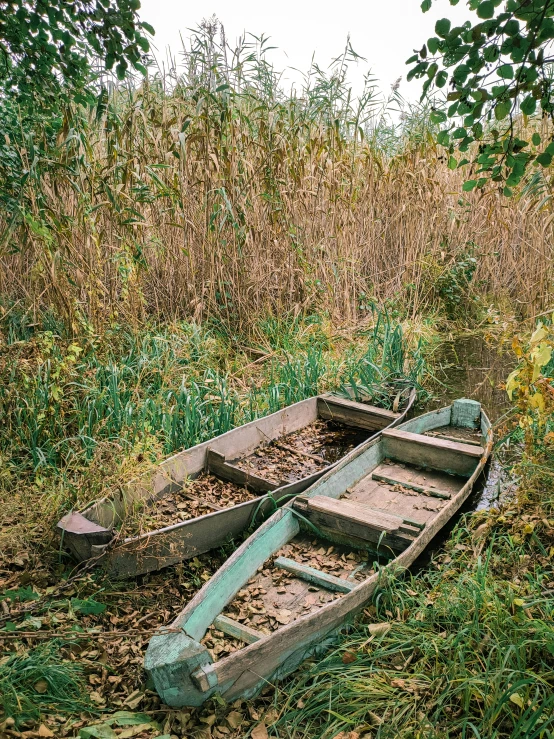 a small wooden boat sitting in a field near some vegetation