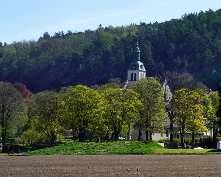 the trees have green tops and a large tower