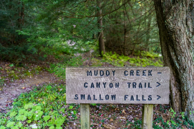 a sign warning visitors that it is a muddy creek canyon trail