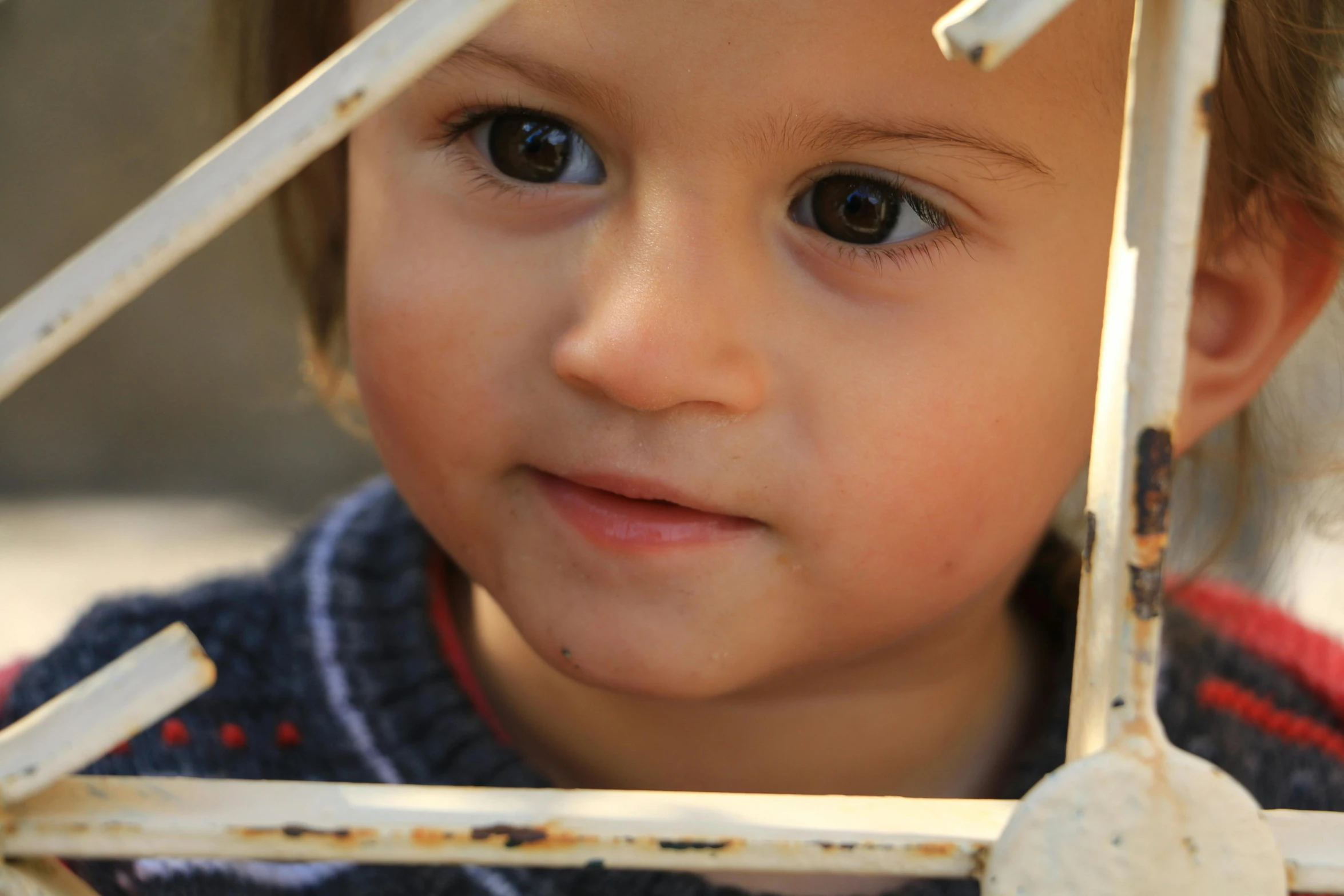 a little girl looking through some bars at the camera