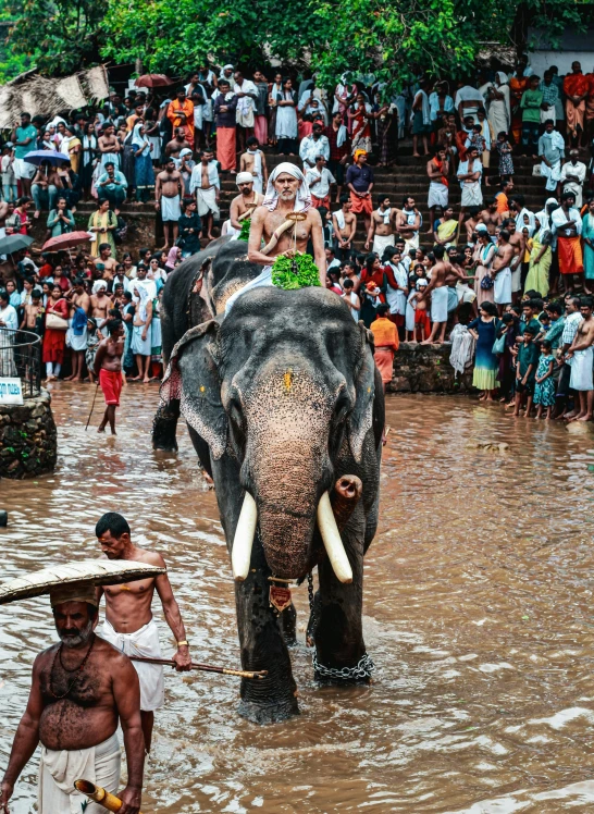 a man leading an elephant in a flooded area with spectators