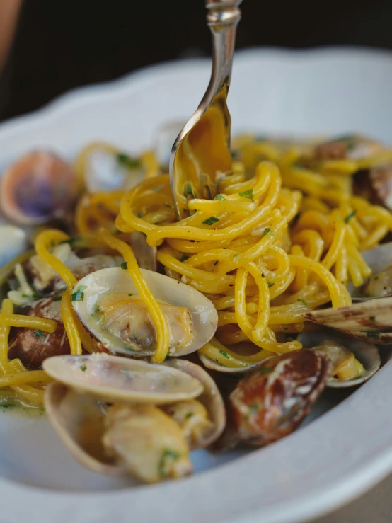 a plate of spaghetti with clams on it