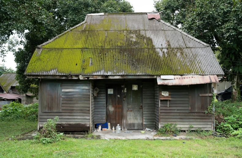 old dilapidated house in a forest with green moss on the roof