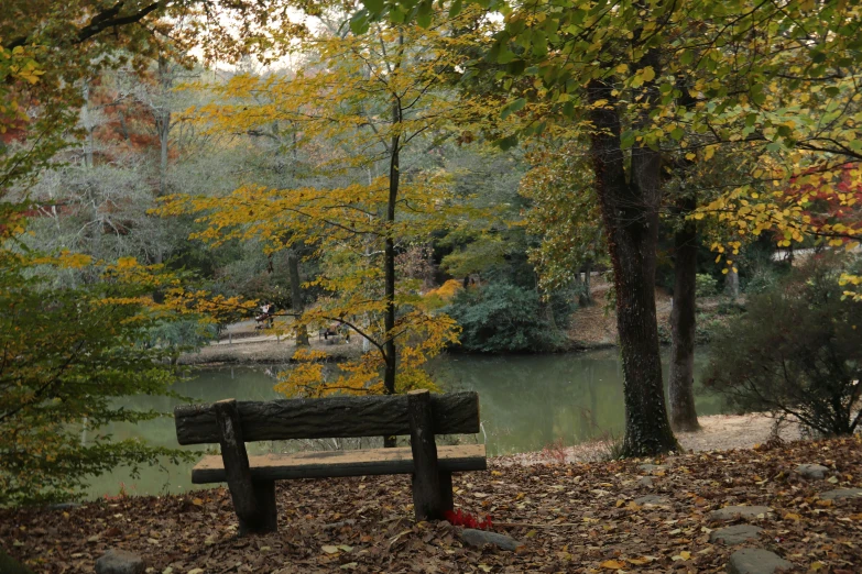 the bench is next to a tree in the fall