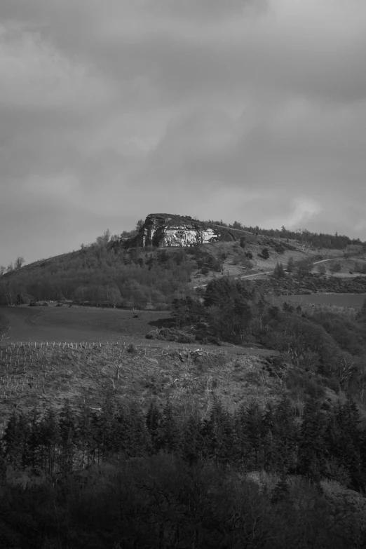 a view of a very tall hill with trees on it