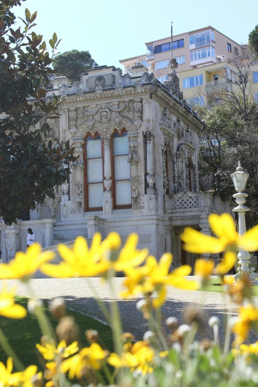 yellow flowers are in front of an old building