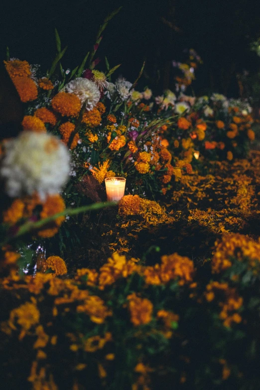 a vase with flowers on the ground in a field